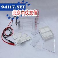 DYCP-31DN型 琼脂糖水平电泳仪(槽)(小号)